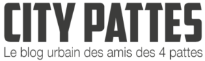City Pattes - Félinacs salon du bien-être animal