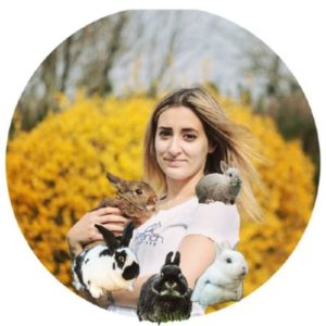Yokalaska - Félinacs, salon du bien-être animal à Nantes