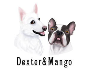 Dexter et Mango - Félinacs