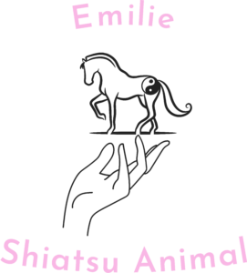 Shiatsu animal - Félinacs