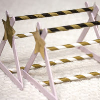 Agility rat - Félinacs Agility rat - Félinacs