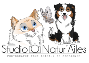 Studio Ô Natur'Ailes - Félinacs